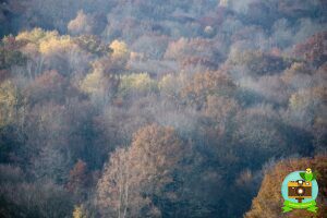 Paysage Automne Saône et Loire