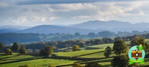 Paysage charolais en automne à proximité de Martigny le comte